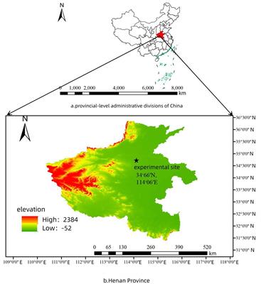 Multi-stage tomato fruit recognition method based on improved YOLOv8